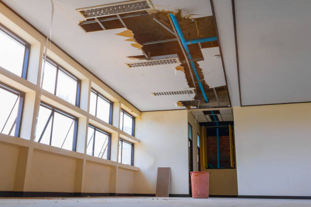 Best 24-hour water damage restoration  in Prospect, KY