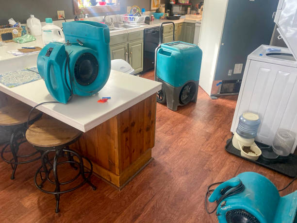 Best Water damage repair service  in Prospect, KY
