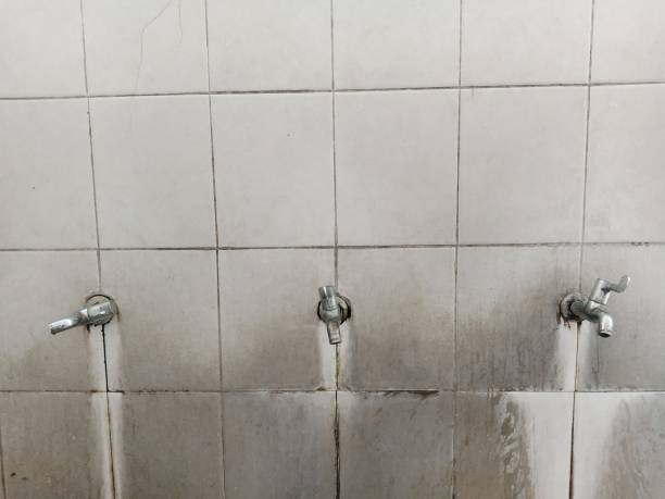 Best Fire Damage Restoration  in Prospect, KY