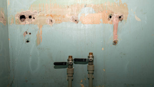 Best Water damage restoration near me  in Prospect, KY